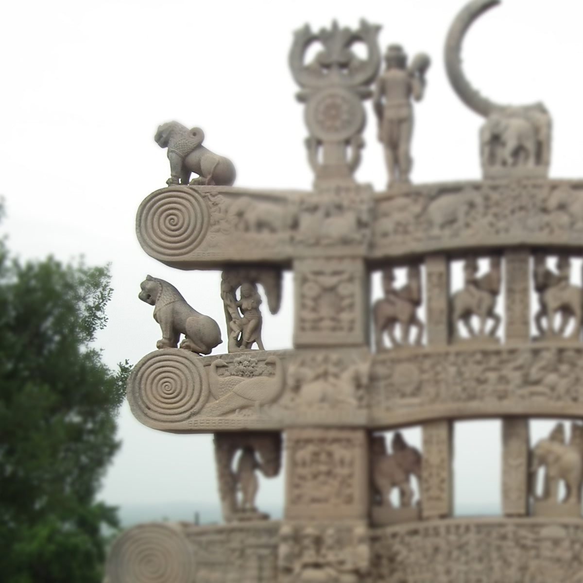 sinhal vartula silver earrings by moha