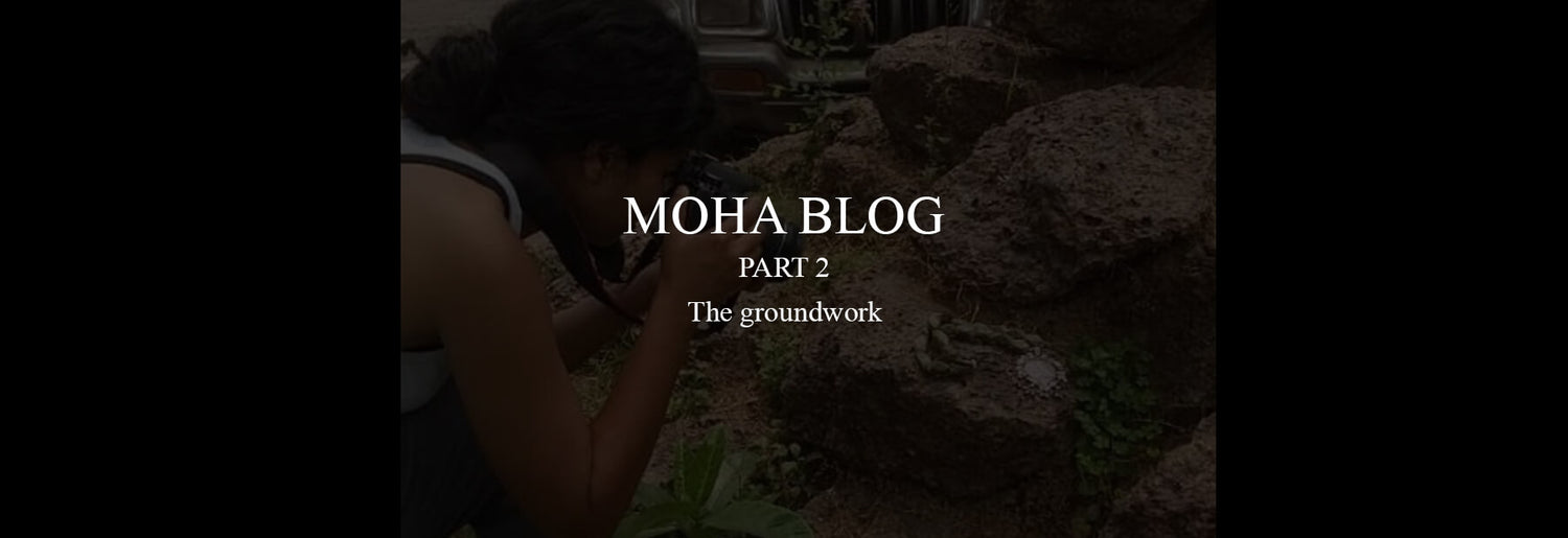 Part 2 – The groundwork