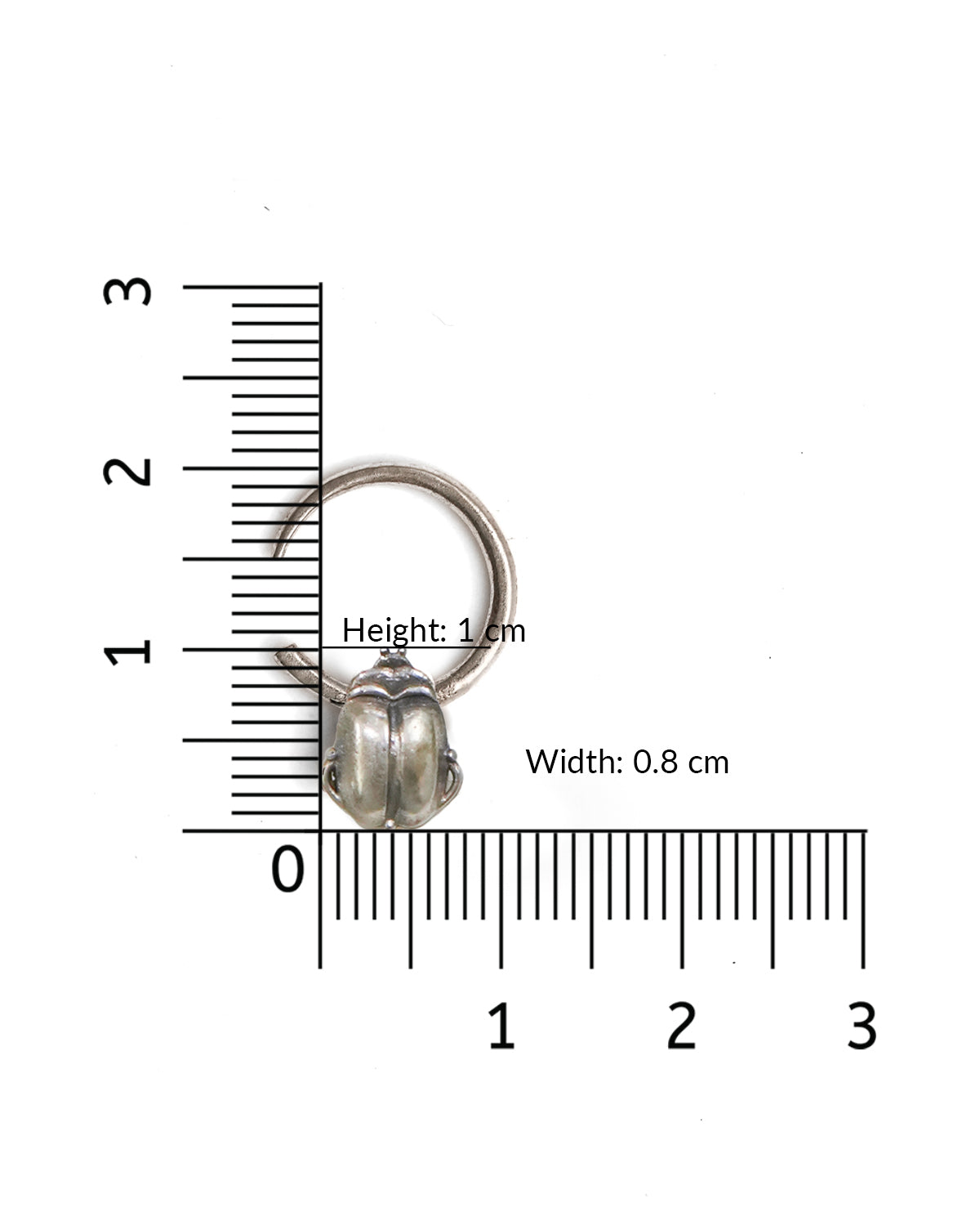 Beetle Silver Septum by MOHA